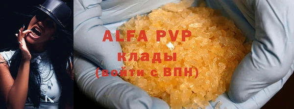 индика Белоозёрский