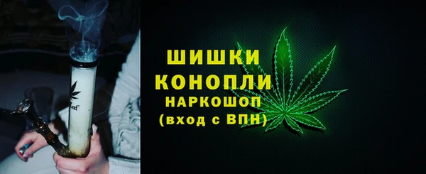 индика Белоозёрский