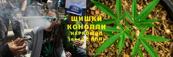 индика Белоозёрский
